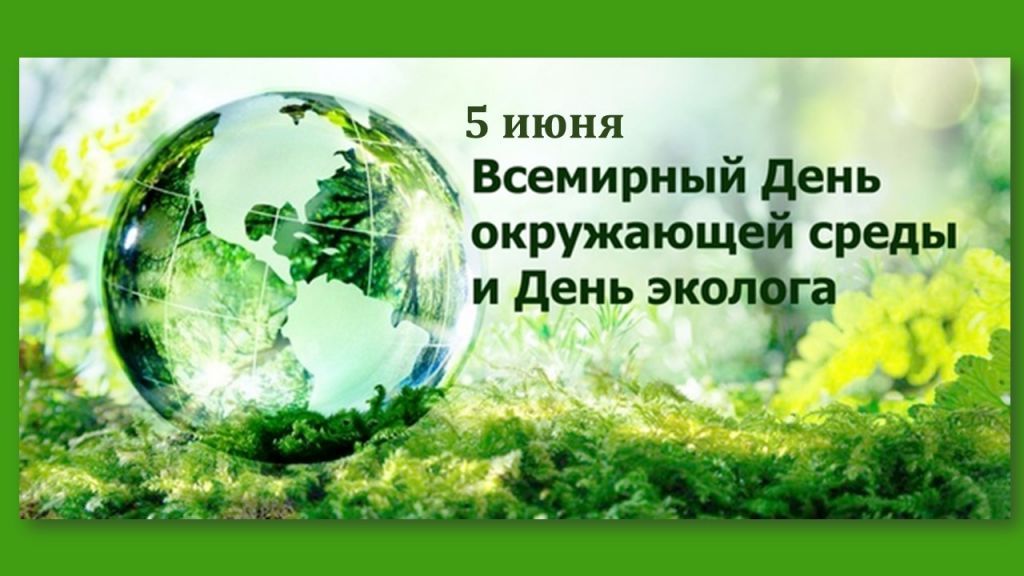 экология.jpg