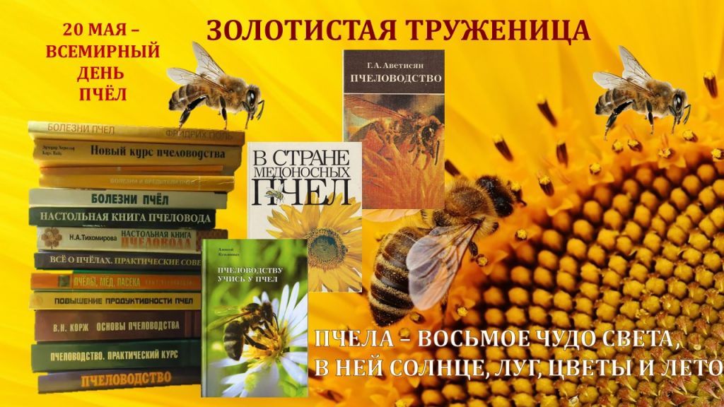 пчела.jpg